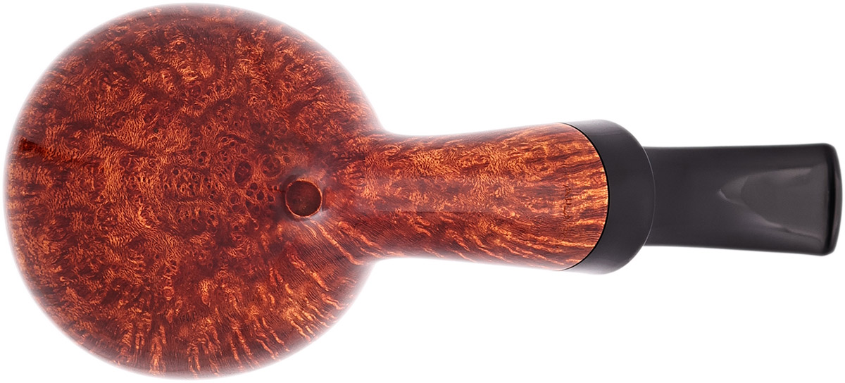 Sergey Ailarov Smooth Acorn