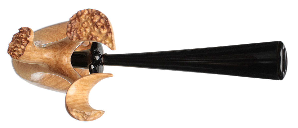 Wojtek Pastuch Smooth Natural Dragon Seahorse (0923)