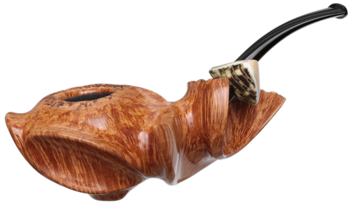 Wojtek Pastuch Smooth Hornflower with Sea Snail Shell (10th Anniversary)