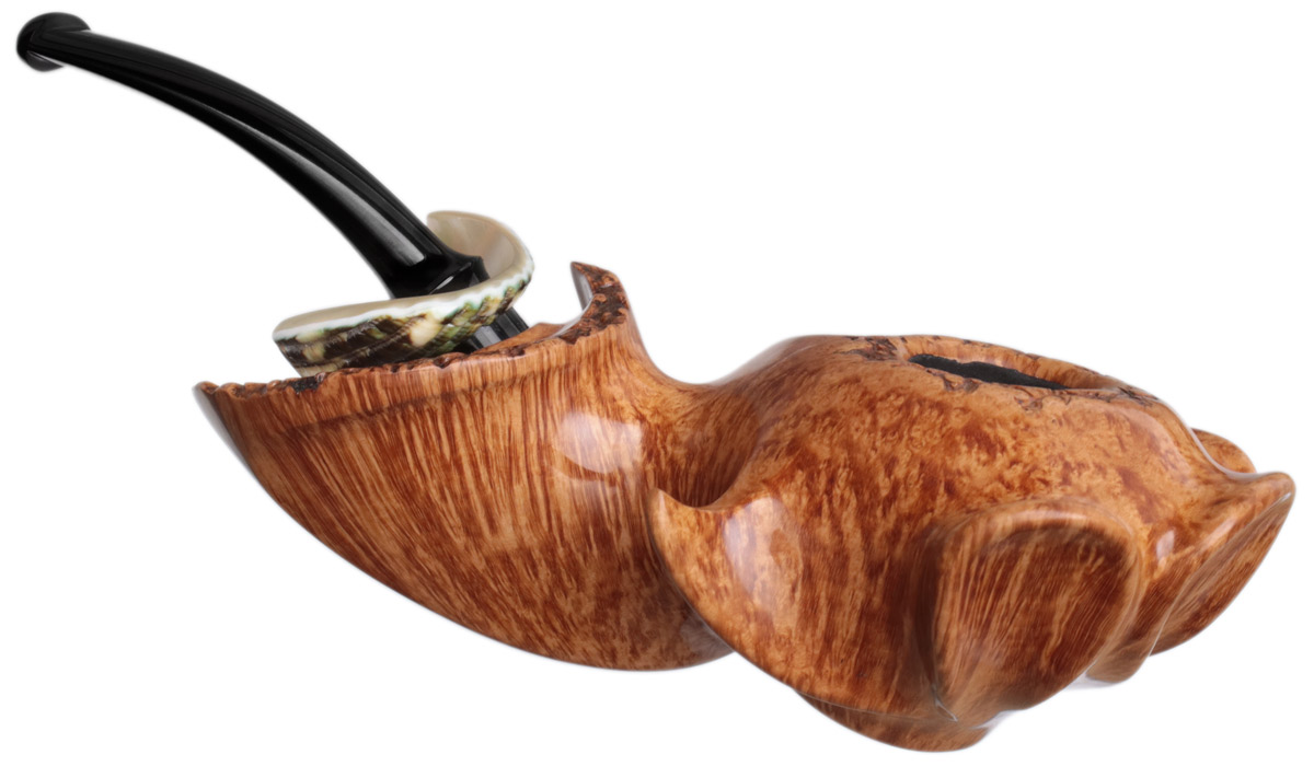 Wojtek Pastuch Smooth Hornflower with Sea Snail Shell (10th Anniversary)