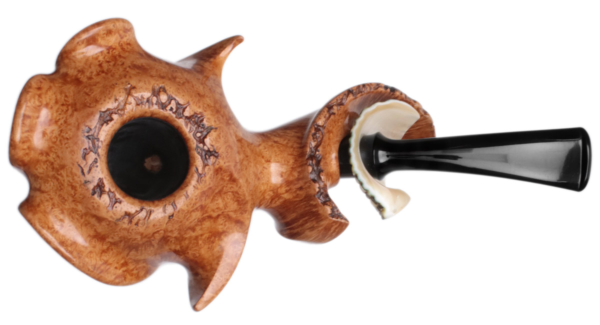 Wojtek Pastuch Smooth Hornflower with Sea Snail Shell (10th Anniversary)