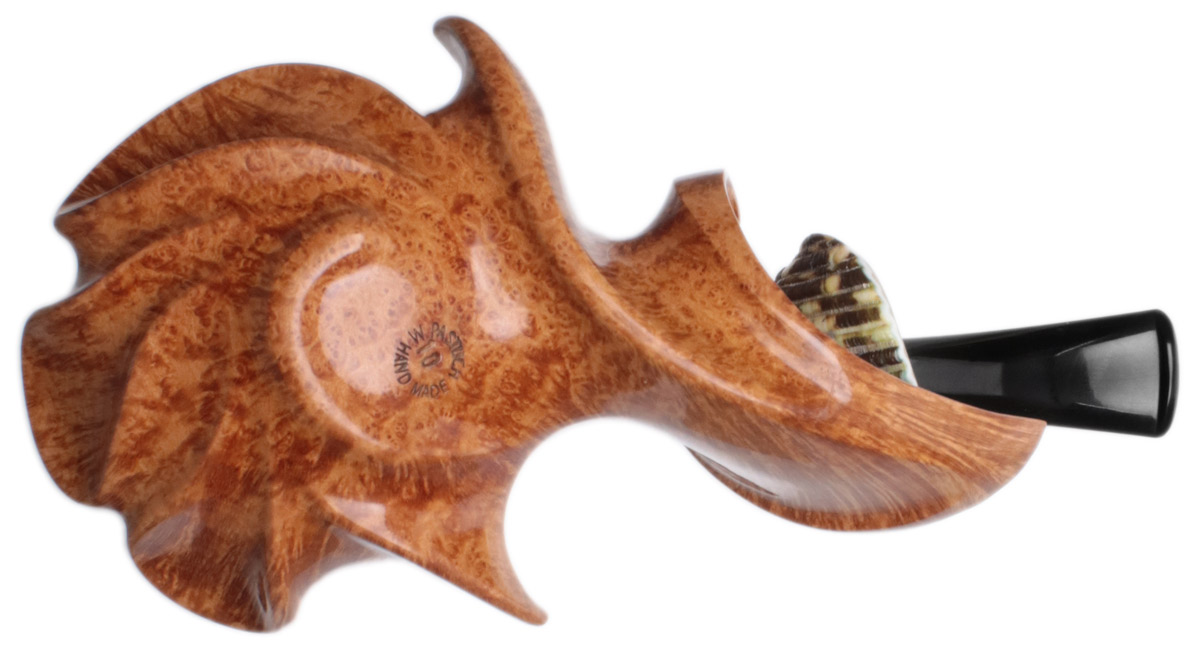 Wojtek Pastuch Smooth Hornflower with Sea Snail Shell (10th Anniversary)