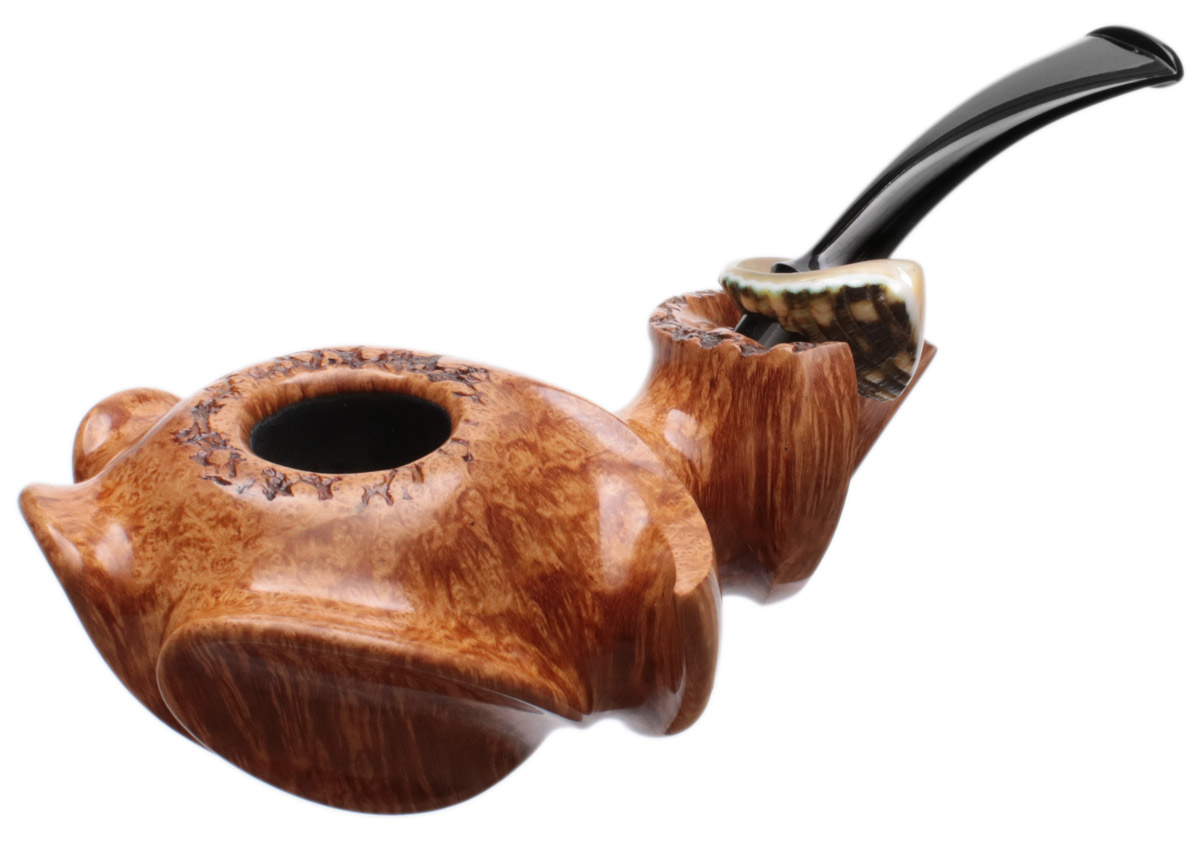 Wojtek Pastuch Smooth Hornflower with Sea Snail Shell (10th Anniversary)