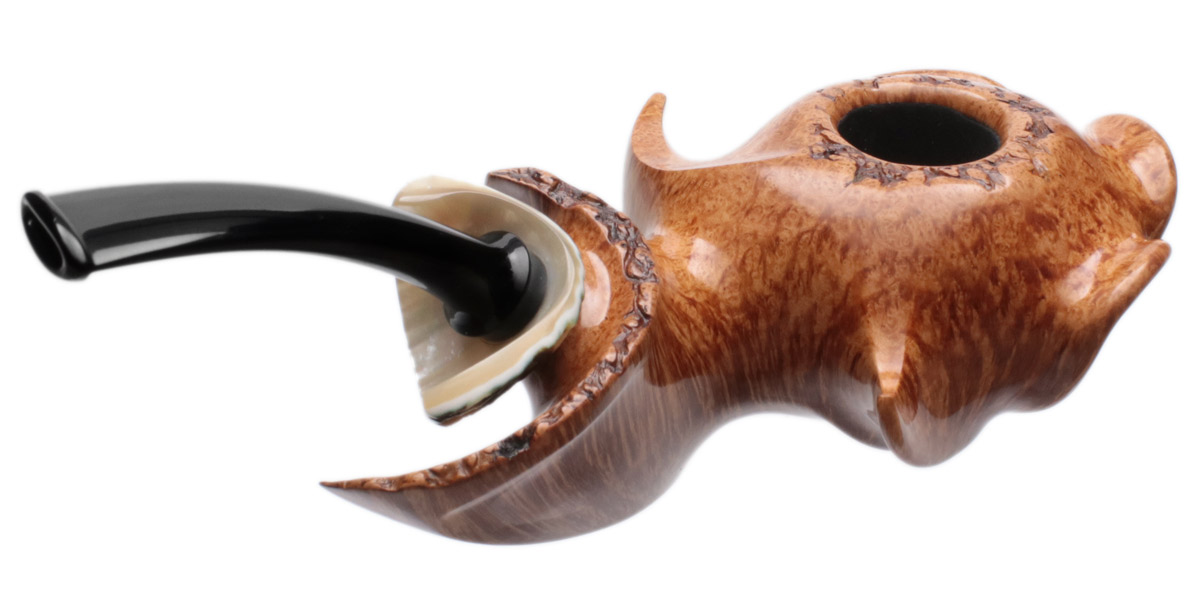 Wojtek Pastuch Smooth Hornflower with Sea Snail Shell (10th Anniversary)