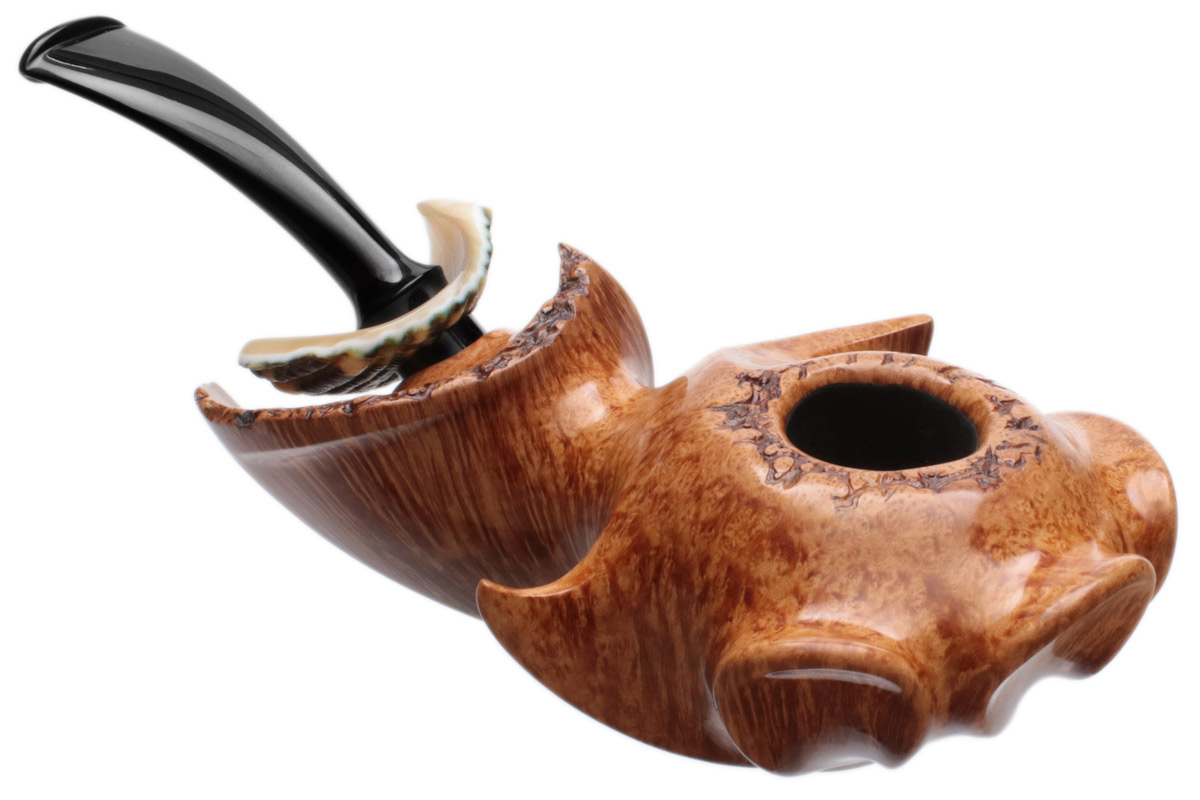 Wojtek Pastuch Smooth Hornflower with Sea Snail Shell (10th Anniversary)