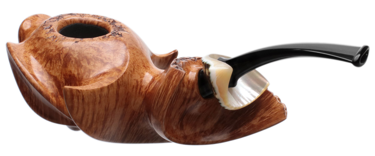 Wojtek Pastuch Smooth Hornflower with Sea Snail Shell (10th Anniversary)
