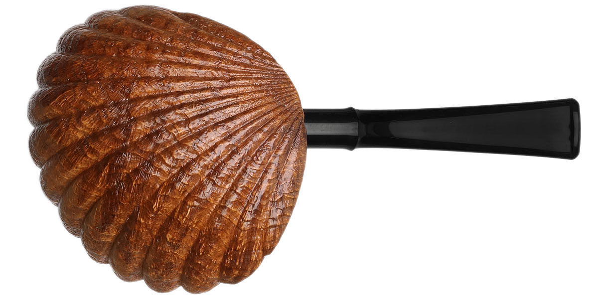 Wojtek Pastuch Sandblasted Seashell (1140)