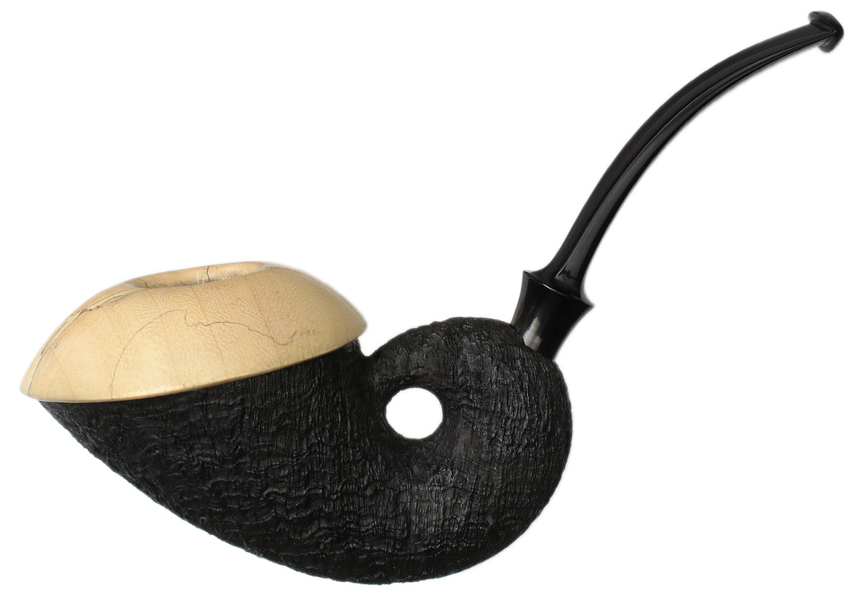 Sabina Santos Sandblasted Nautilus Calabash with Spalted Tamarind (G)