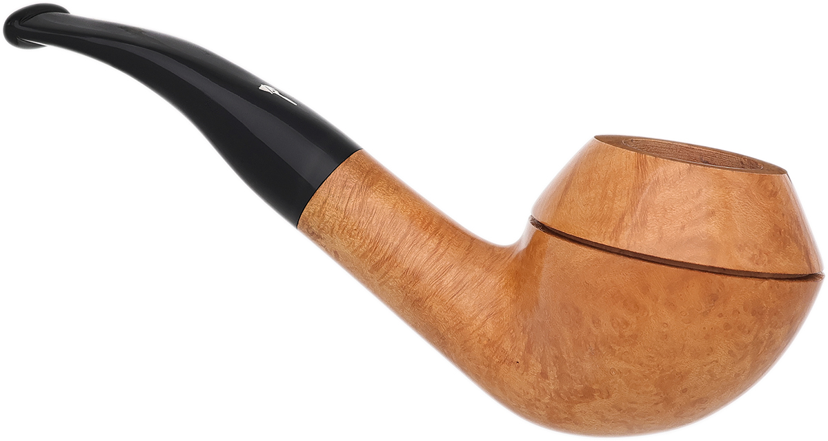 Mastro Geppetto Liscia Rhodesian (3)