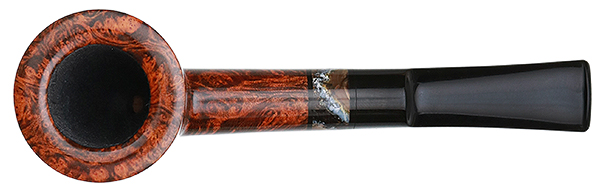 Mike Sebastian Bay Smooth Dublin with Mastodon Tooth