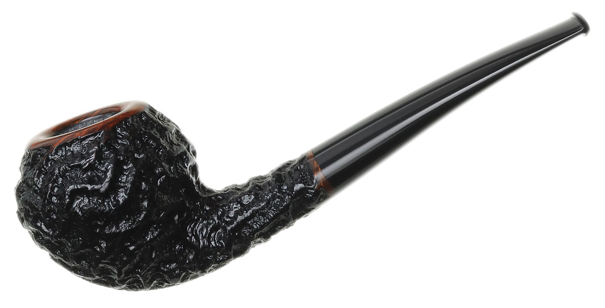Mike Sebastian Bay Rusticated Rhodesian