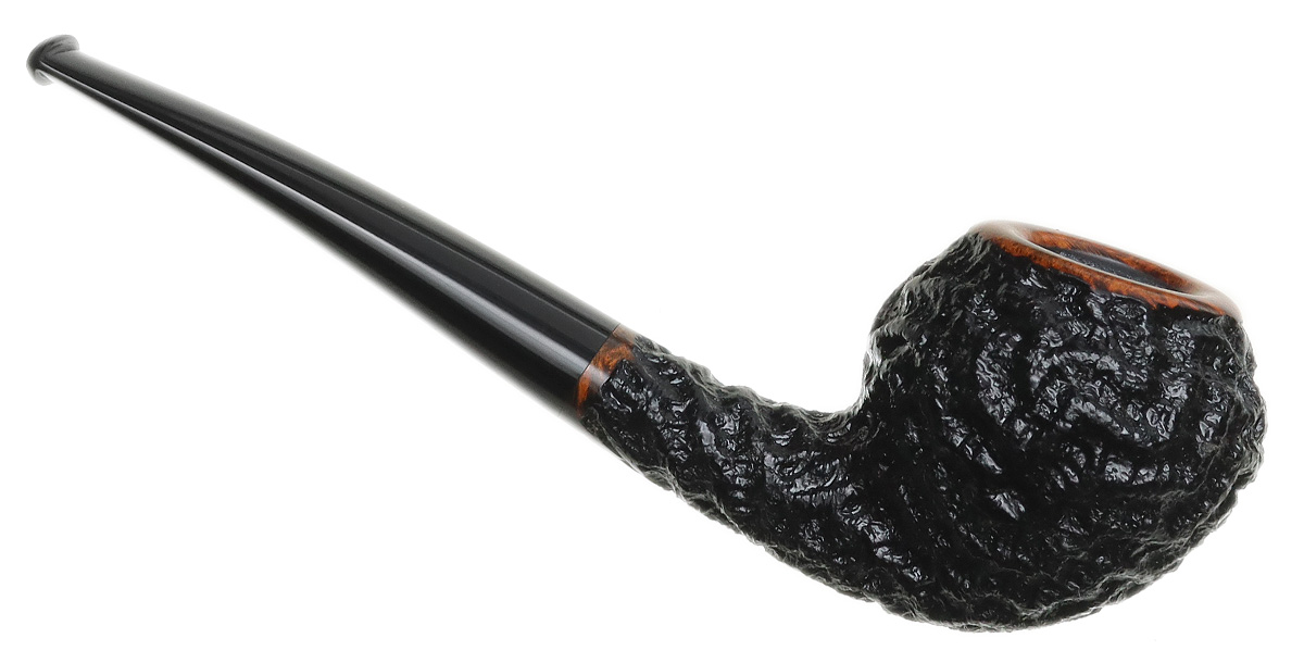 Mike Sebastian Bay Rusticated Rhodesian