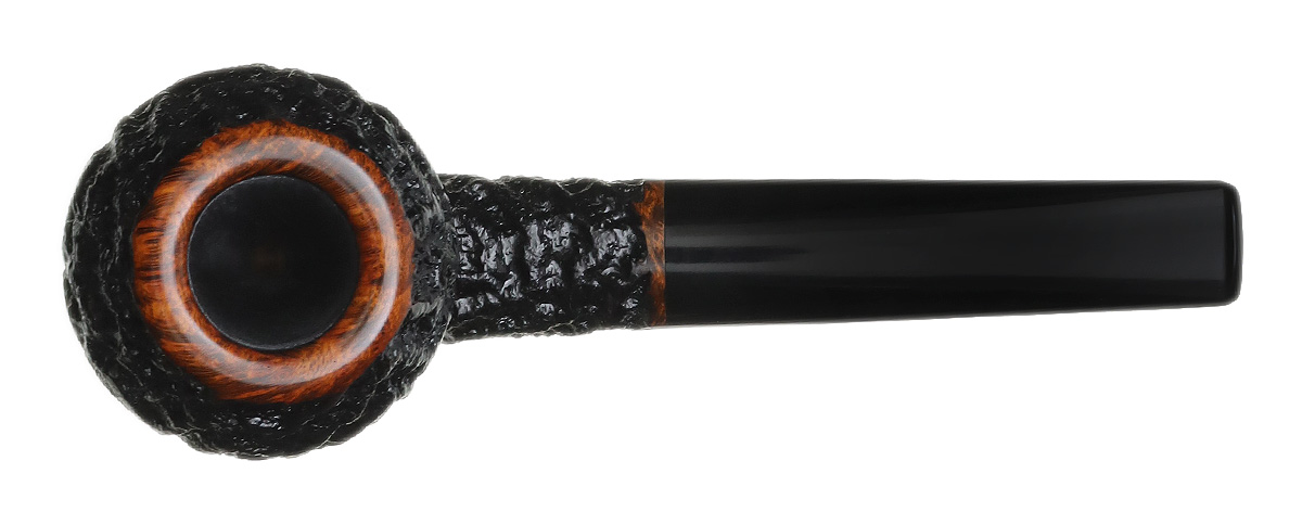 Mike Sebastian Bay Rusticated Rhodesian