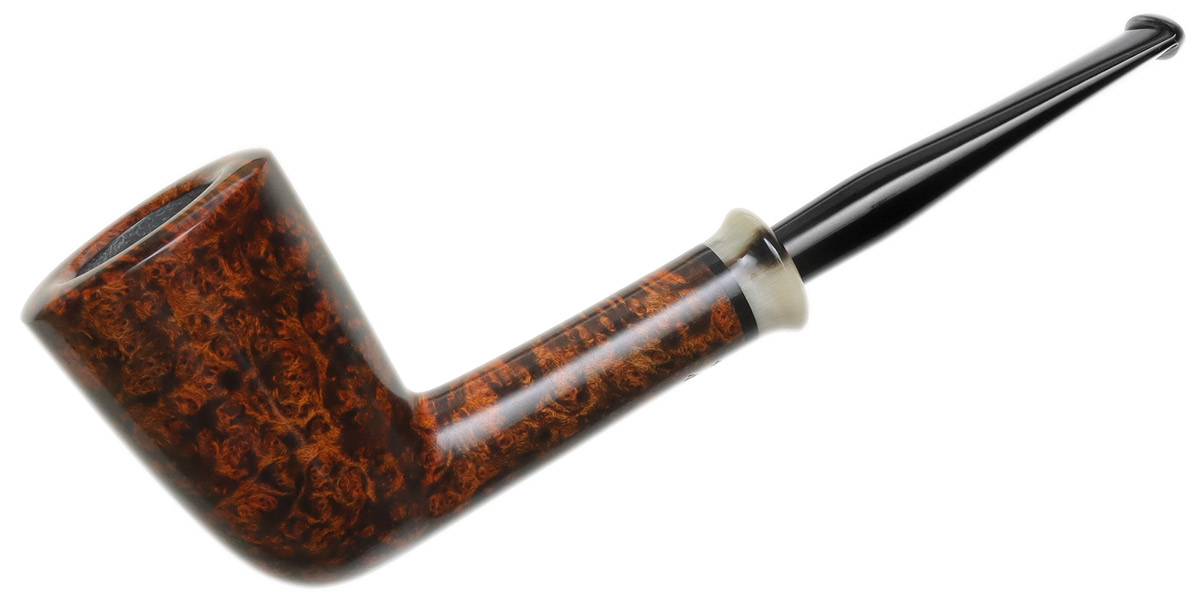 Mike Sebastian Bay Smooth Dublin with Horn