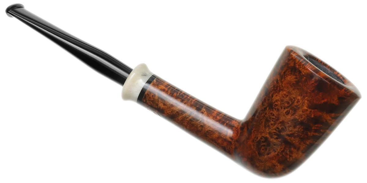 Mike Sebastian Bay Smooth Dublin with Horn