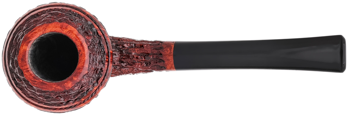 Suhr Rusticated Rhodesian