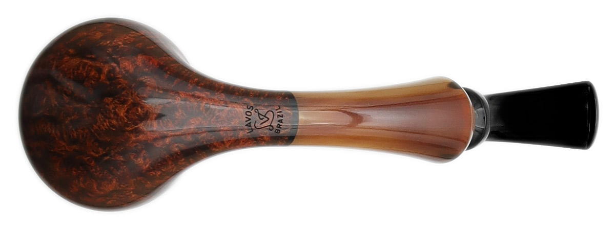 Luiz Lavos Smooth Rhodesian with Horn