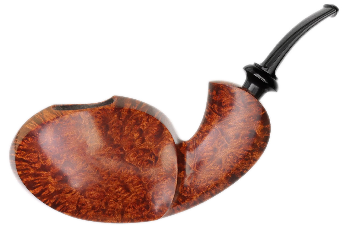 Wandi Riyadi Smooth Blowfish