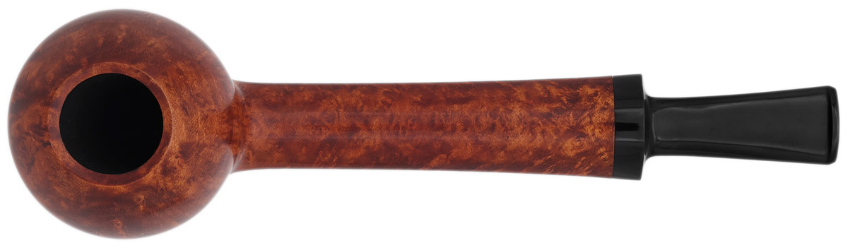 GH Zhang Smooth Long Shank Tomato (Abe Herbaugh) (03) (2025)