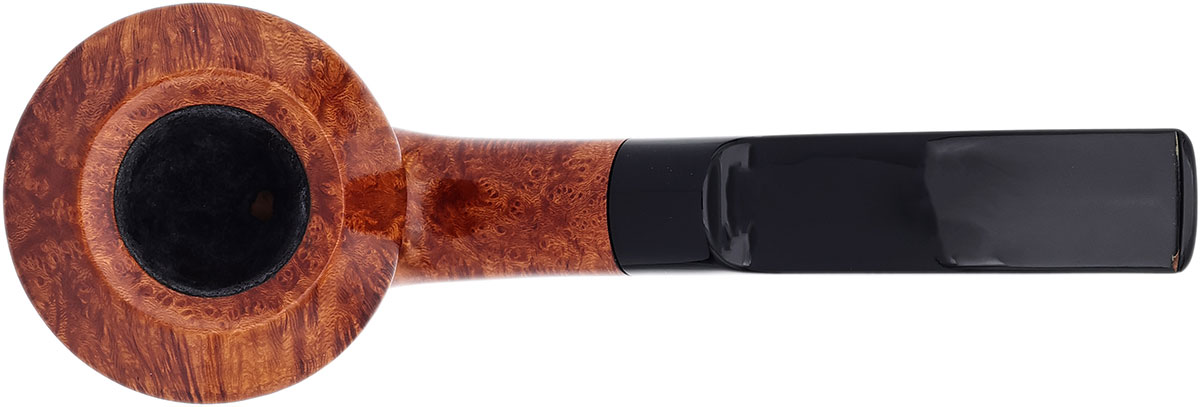 Bruno Nuttens Heritage Smooth Rhodesian (H3)
