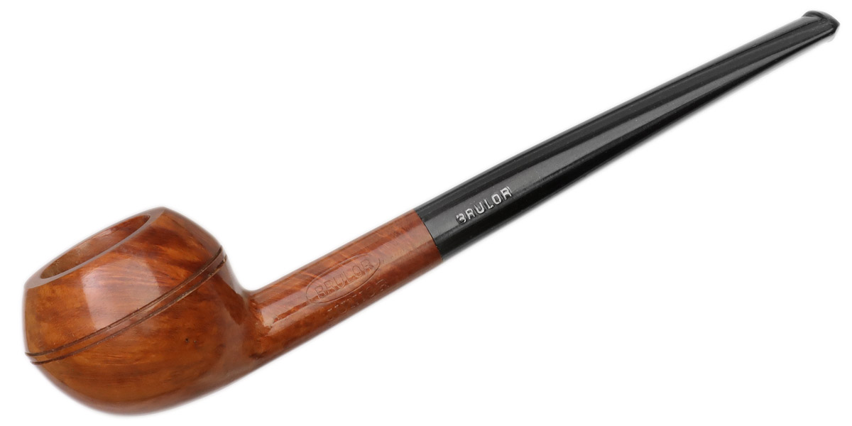 Brulor Smooth Rhodesian