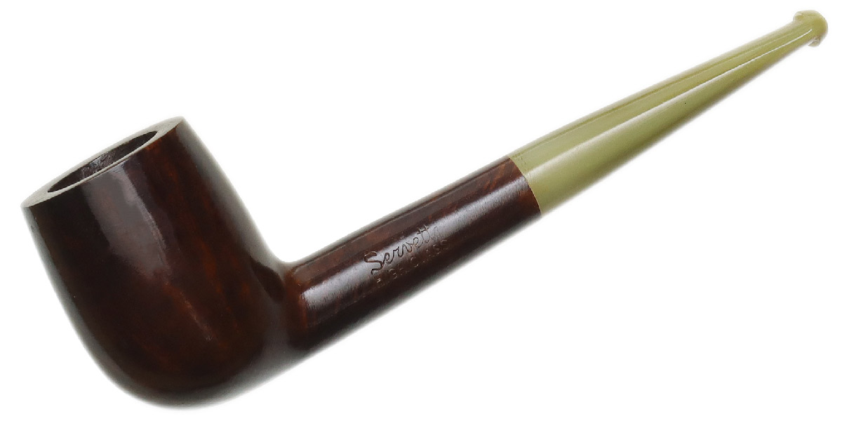 Brulor Smooth Billiard with Horn