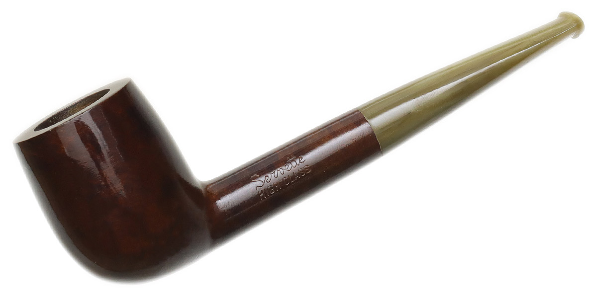 Brulor Smooth Billiard with Horn