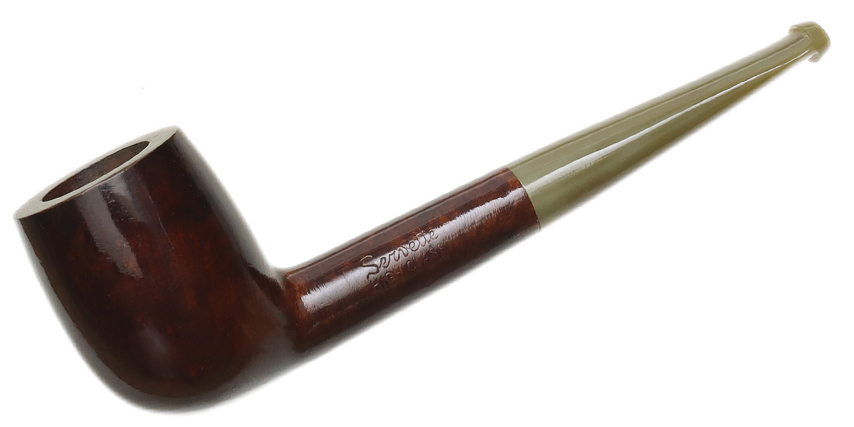 Brulor Smooth Billiard with Horn