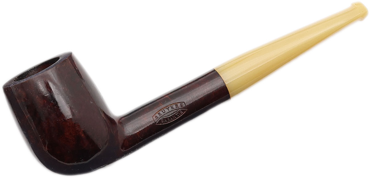 Brulor Smooth Billiard with Horn