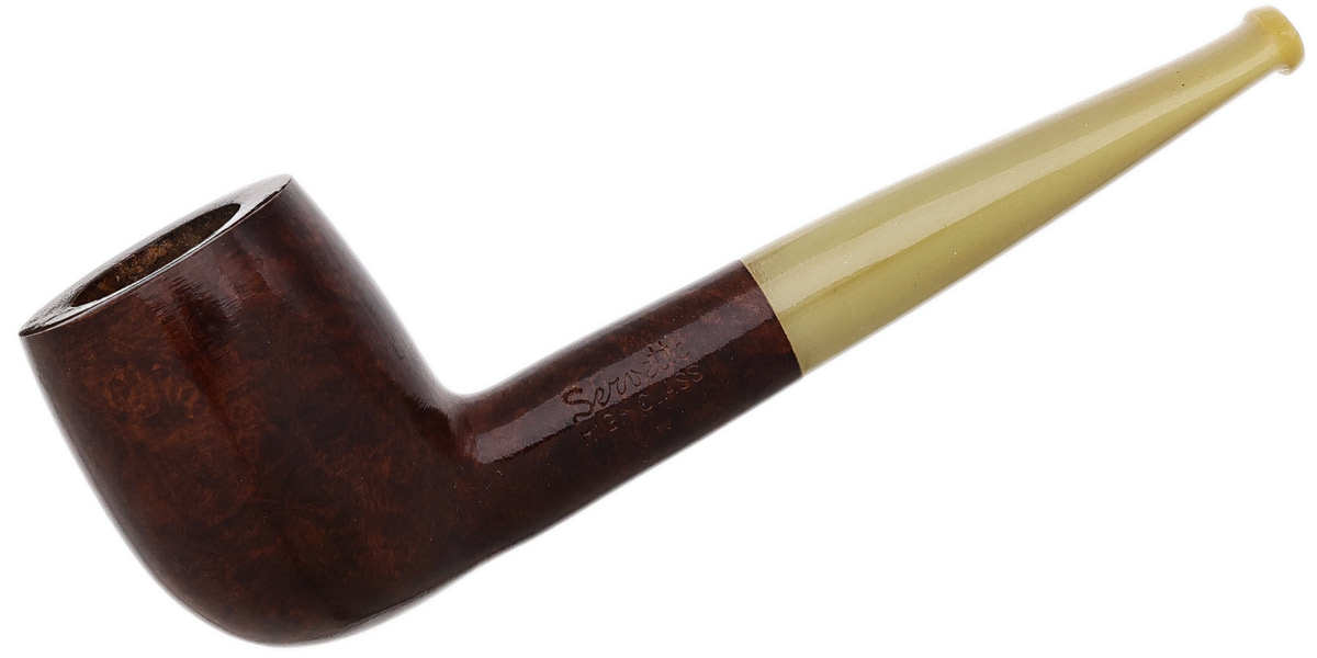 Brulor Smooth Billiard with Horn