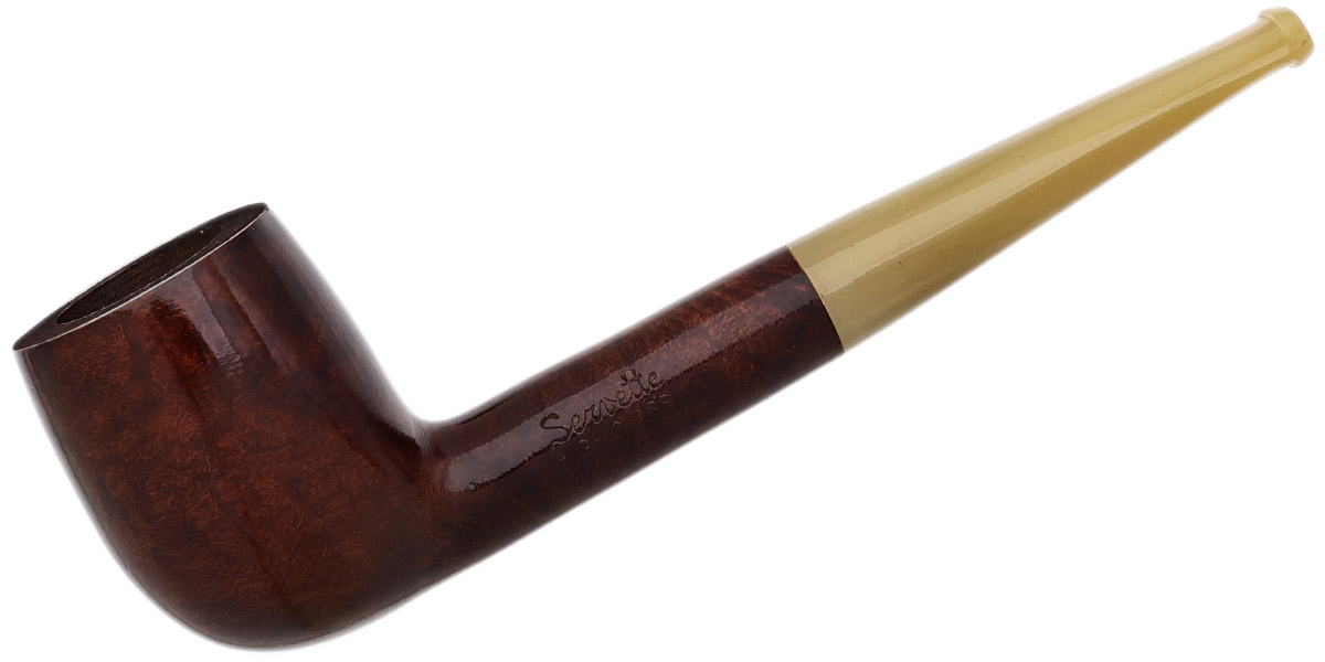 Brulor Smooth Billiard with Horn
