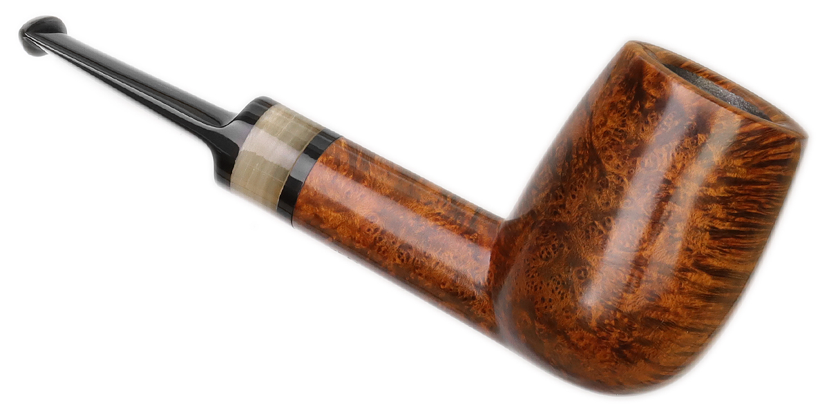 Emiliano Smooth Billiard with Horn