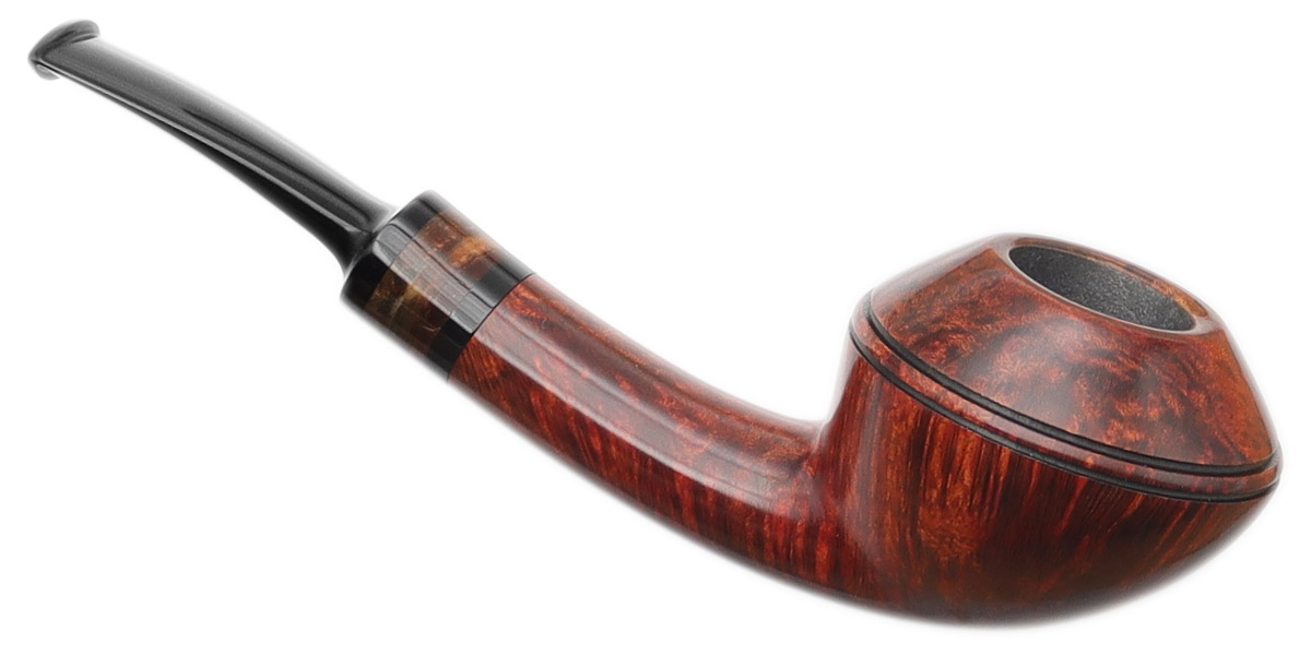 Emiliano Smooth Rhodesian with Mammoth