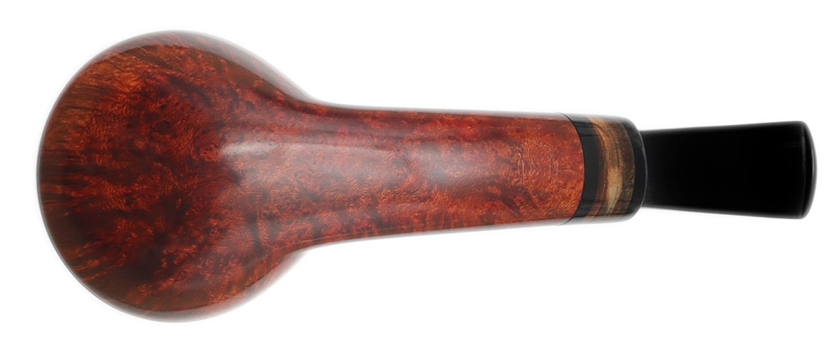 Emiliano Smooth Rhodesian with Mammoth