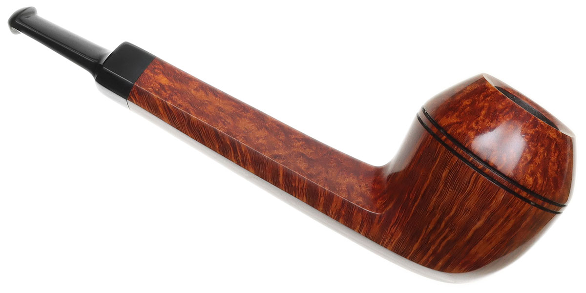 Tine Balleby Smooth Rhodesian