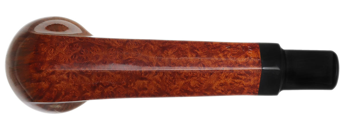 Tine Balleby Smooth Rhodesian