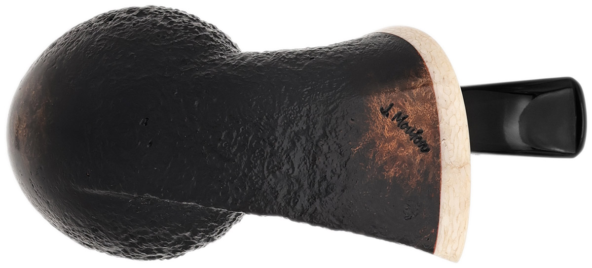 J. Mouton Partially Sandblasted Fish with Whale Spine