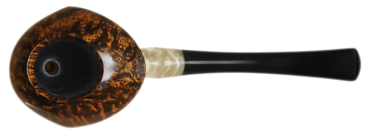 Brighton James Smooth Valkyrie with Musk Ox Horn