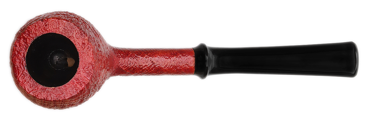 Austin Quinlan Sandblasted Tulip