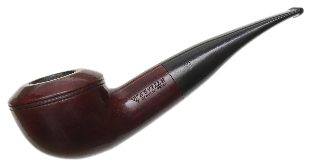 Italian Estate WDC Seville Smooth Rhodesian