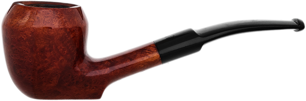 Italian Estate Iwan Ries Parma Smooth Rhodesian Sitter (214)