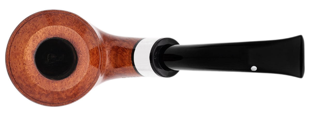 American Estate Michael Butera Royal Classic Rhodesian with Silver (SSB) (G0008)