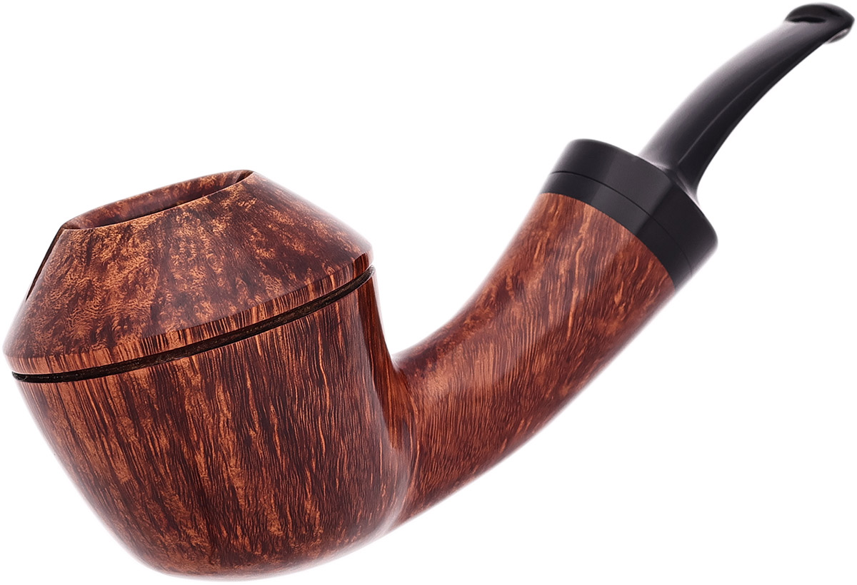 American Estate Jason Patrick Smooth Rhodesian