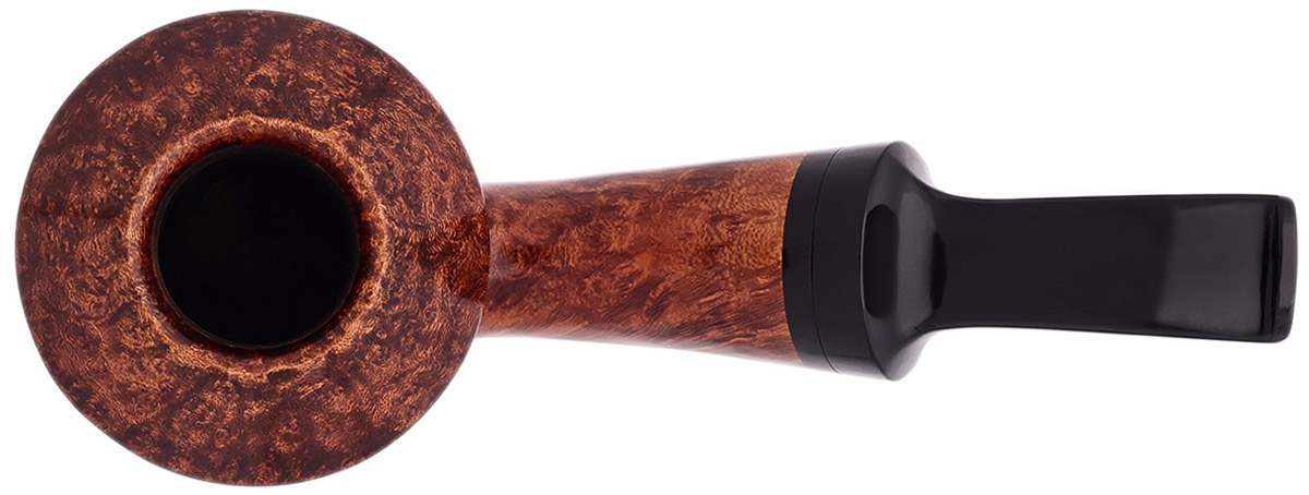 American Estate Jason Patrick Smooth Rhodesian