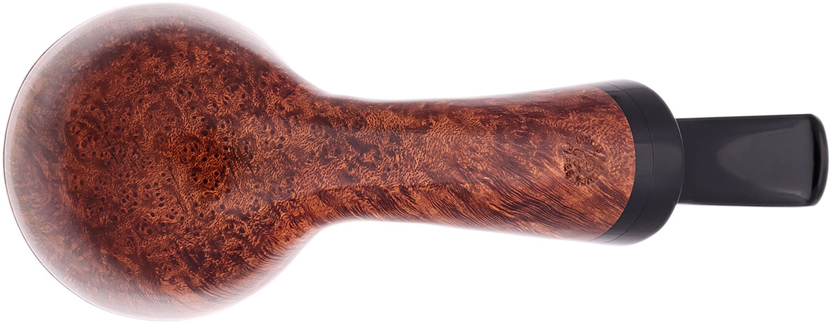 American Estate Jason Patrick Smooth Rhodesian