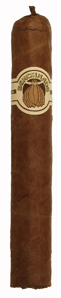 Ashton Benchmade Gordo (Box of 25)