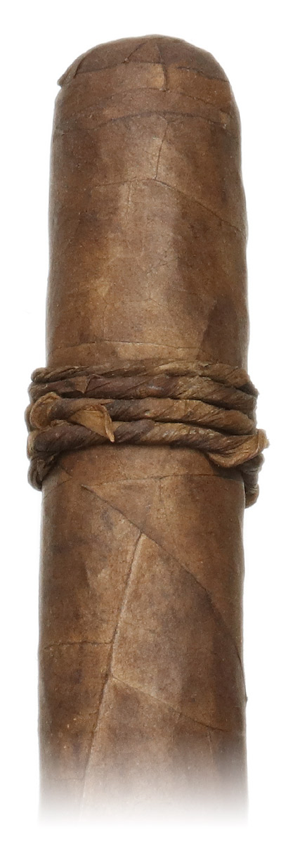 CAO Amazon Basin