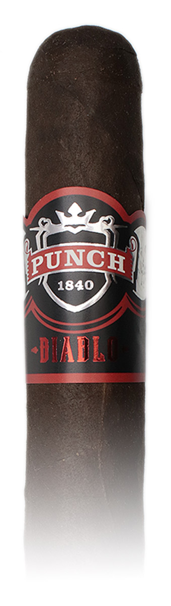 Punch Diablo Brute