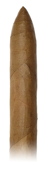 Rocky Patel The Edge Connecticut Torpedo