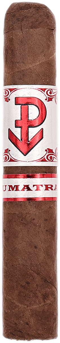 Powstanie Sumatra Petite Robusto